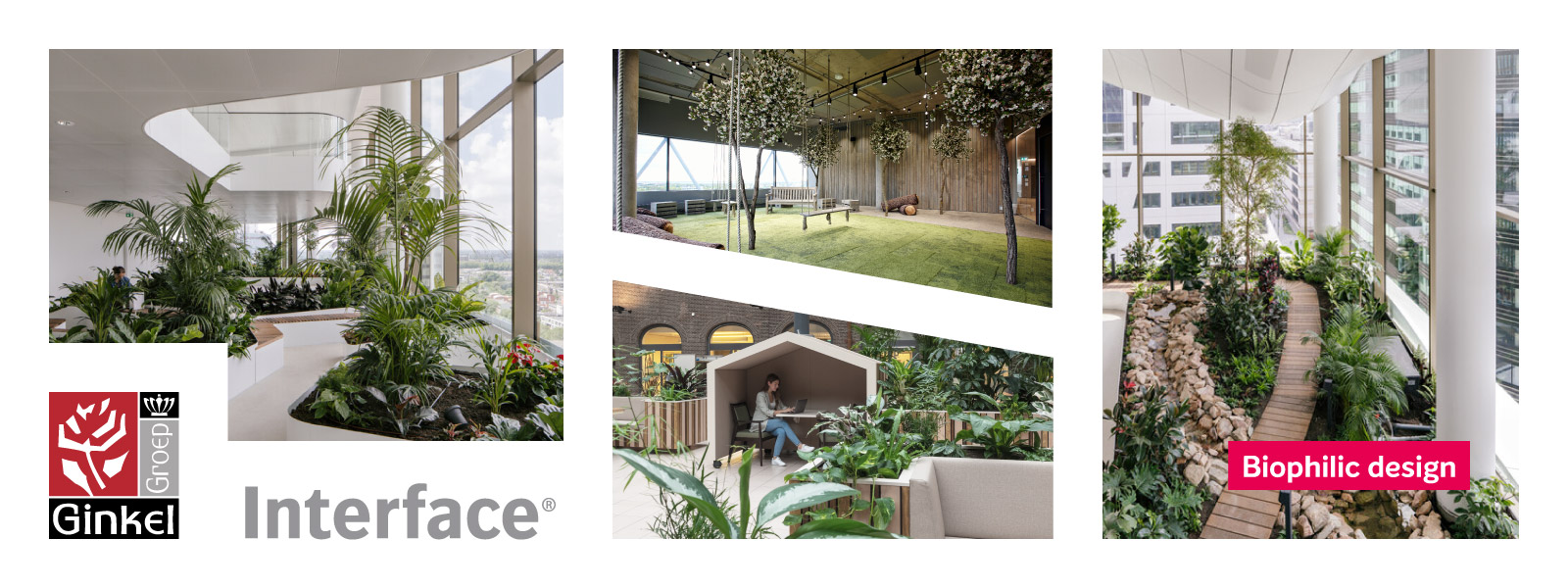 Biophilic design